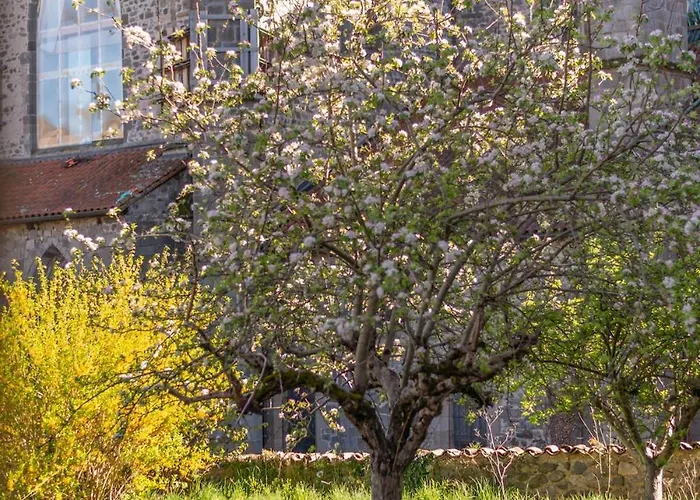 3 Chambres, Premium Avec Fibre, Centre Appartement *